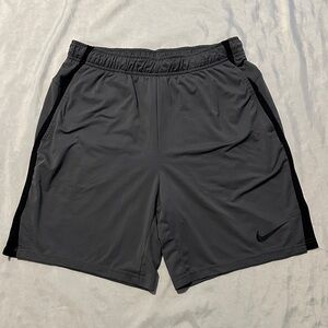 Nike Dri-Fit Shorts Sz L